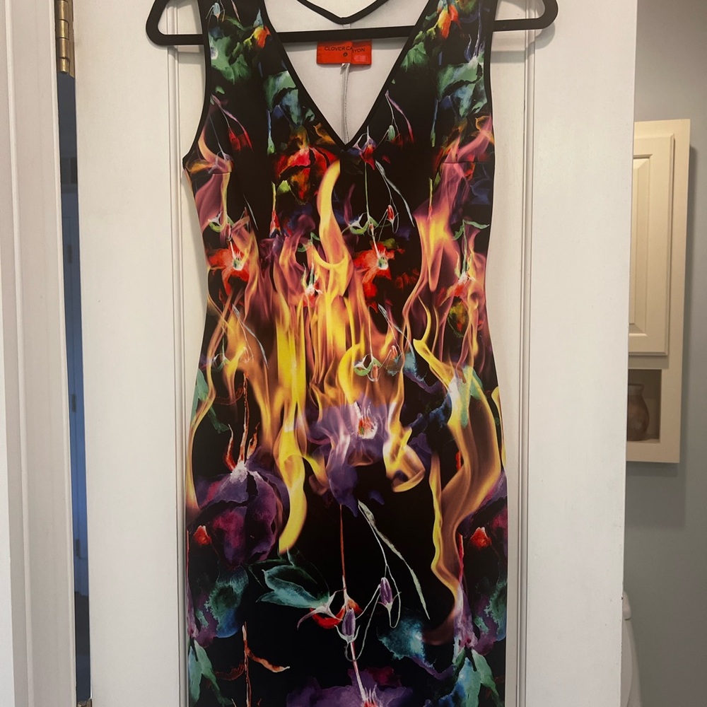 Vibrant Multicolor Clover Canyon Dress